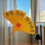 沐沐-沐沐资源站